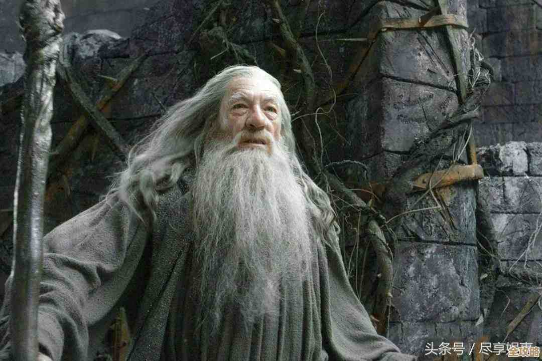 越来越黑暗巫师职业介绍，职业定位技能加点那些事还没说完